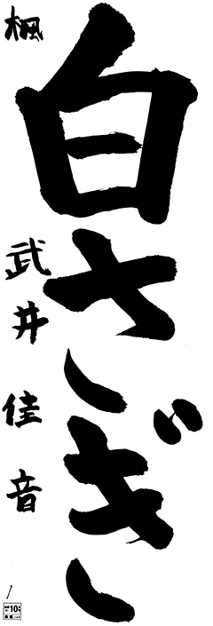 楓教室 2年生 武井 佳音